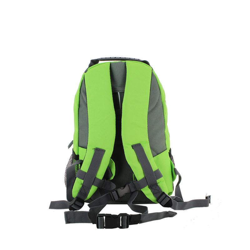 01 knapsack
